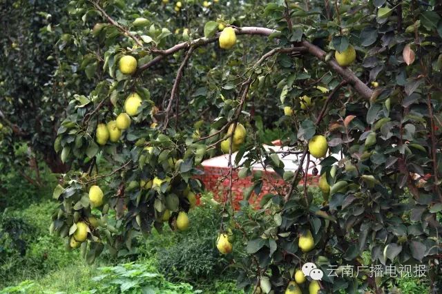 昆明周边自驾游冷门地_昆明周边自驾游_昆明周边自驾游最佳路线